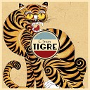 C mon Tigre - Quantum of the Air