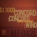 DJ 3000 - Concord Dapayk Solo Remix