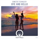 Domestic Technology - Bye and Hello Original Mix