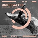 Healing Ocean Waves Zone - Sleepy Whale Sounds