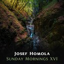 Josef Homola - Firefly Sunday