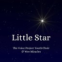 The Voice Project Youth Choir Wee Miracles - Little Star Instrumental