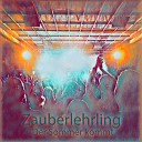 Zauberlehrling - Nothing Breaks Like a Heart