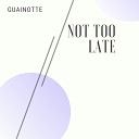 Guainotte - Not Too Late Radio Edit