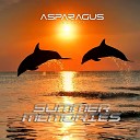 ASPARAGUSproject - Summer Memories