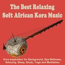 Traditional 21 Kora Strings - Yarabi