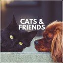 Music for Cats Peace - Soothing Melodies to Calm Your Cat Pt 5