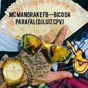 MC MANDRAKE FB DJ LUIZ CPV - Bico da parafal
