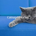 Cat Music - Rising in the Kitchens