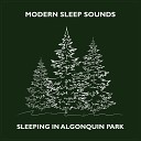 Modern Sleep Sounds - Gentle Forest Stream White Noise Blend