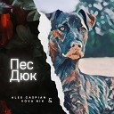 Alex Caspian Vova Nik - Пес Дюк Original Mix