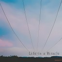 Cherry Sunset - Life is a Miracle