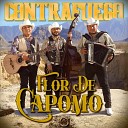 Contrafuego - Flor De Capomo Dialecto Yaqui Espa ol