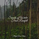 Rainforest Sounds Chakra Meditation Universe Guided Spa… - Light Rains