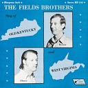 The Fields Brothers - A Good Woman s Love