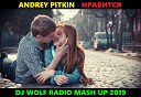 ANDREY PITKIN FEAT XM DIMA CRAMIX НРАВИТСЯ DJ WOLF RADIO MASH UP… - ANDREY PITKIN FEAT XM DIMA CRAMIX НРАВИТСЯ DJ WOLF RADIO MASH UP…