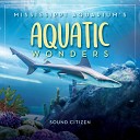 Sound Citizen - Wonders of the Gulf