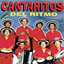Cantaritos Del Ritmo - La Negra Cumbiambera