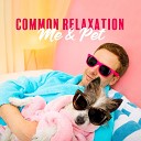 Home SPA Collection - Pet Relaxation