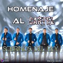 Sobrinos Del Rey - Homenaje Al Cartel