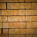 Celtic Lair - Wet Hands From Minecraft