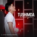 Saidahmad Umarov - Tushimda cover Yusufxon Nurmatov