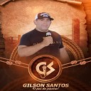 Gilson Santos do piZro - Me Chama de Beb