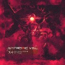 Entropic Veil - Interlude Великое лоно ада