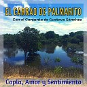 El Carrao de Palmarito - Verano y Entradas de Agua