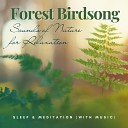 Fairy Garden - Meditations From the Earth