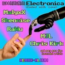 Un d abtanzbar - Electronica RaWu Remix