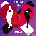 ZUMDRIVE L HA - Малая