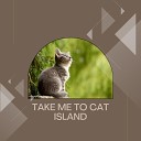 Cat Music - Ultimate Zen Music for Your Cat Pt 19