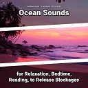 Sea Waves Sounds Ocean Sounds Nature Sounds - Asmr Sound Effect for Your Ears