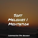 Rain Drops for Sleep PowerThoughts Meditation Club Nature Sounds for Relaxation and… - Wellbeing