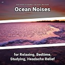 Ocean Sounds by Terry Woodbead Ocean Sounds Nature… - Asmr Sound Effect for Cats