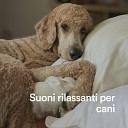 Rilassamento Mentale - Profondo relax per il mio cane