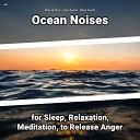 Relaxing Music Ocean Sounds Nature Sounds - Serene Ambient Soundscapes