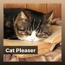 Music For Cats - Kitty Cat Dreams Calming Ambient Music for Your Cat Pt…