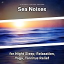 Sea Sound Effects Ocean Sounds Nature Sounds - Ocean Sounds for Dog Barking