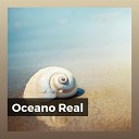 Ocean Sounds - Life