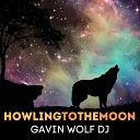 Gavin Wolf Dj - New Store