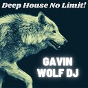 Gavin Wolf Dj - Long Time