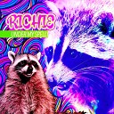 Richie Raccoon - The Sparkle In Your Eyes B Side