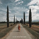 Luis Diseminado - Sequoia