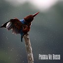 Foresta E Uccelli - Pioggia Nel Bosco