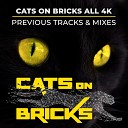 Cats On Bricks feat Christelle Constantin - In My Brain Chris Cooper Deep House Mix