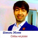 Шамиль Эбзеев - Слезы на розах