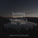 Hipnose Natureza Sons Cole o White Noise Relaxation Sounds of Nature White Noise for Mindfulness Meditation and… - Like a Feather