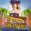 Marimba Reyna Tropical - Caribe Soy